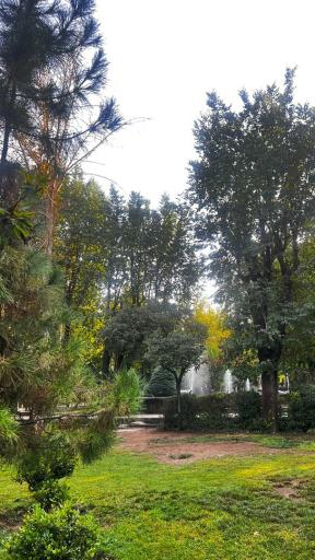 عکس بوستان گلبرگ