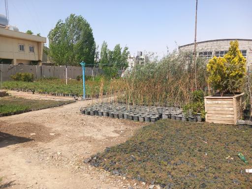 عکس تولیدات نماز