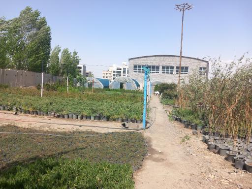 عکس تولیدات نماز
