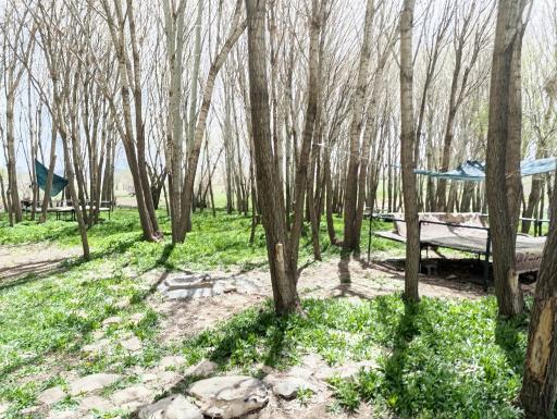 عکس مجموعه گردشگری کَل بابا