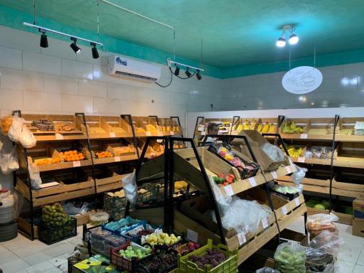 عکس میوه سرای پاپایا 