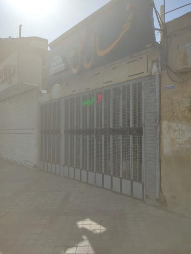 عکس نهال گل