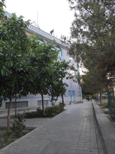 عکس مسجد امام علی