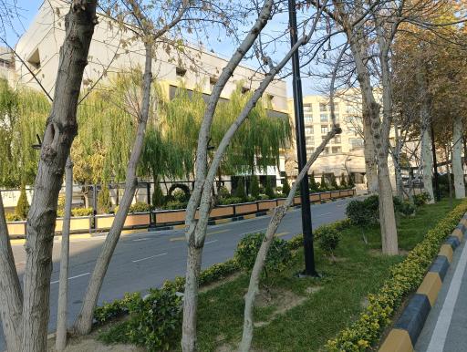 عکس شرکت کشتیرانی جنوب-خط ایران