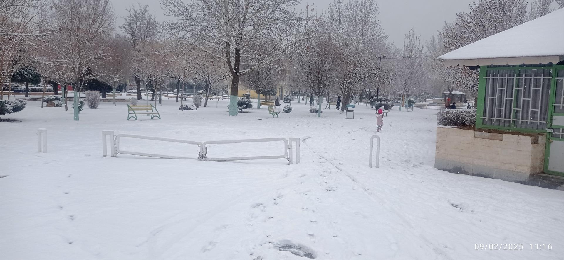 عکس پارک سرو