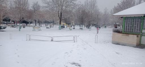 عکس پارک سرو