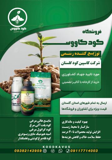 عکس پخش کود کاووس