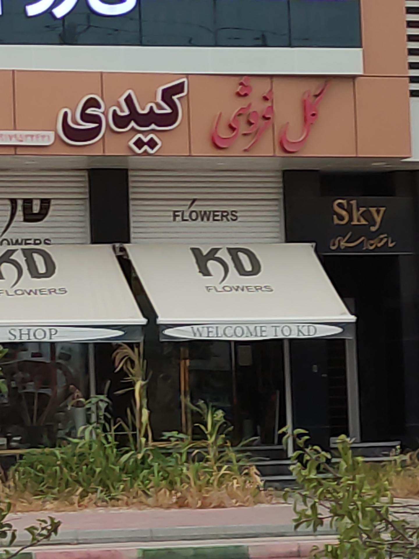 عکس گل فروشی کیدی
