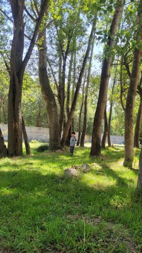 عکس ورنیاب