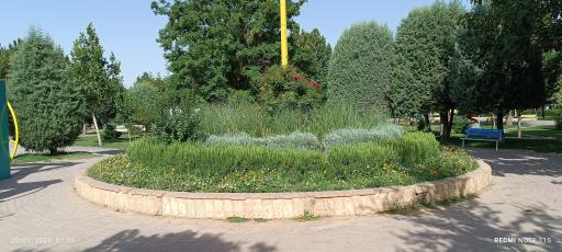 عکس پارک سرو