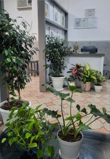 عکس آموزشگاه هنرهای تجسمی کاژه 