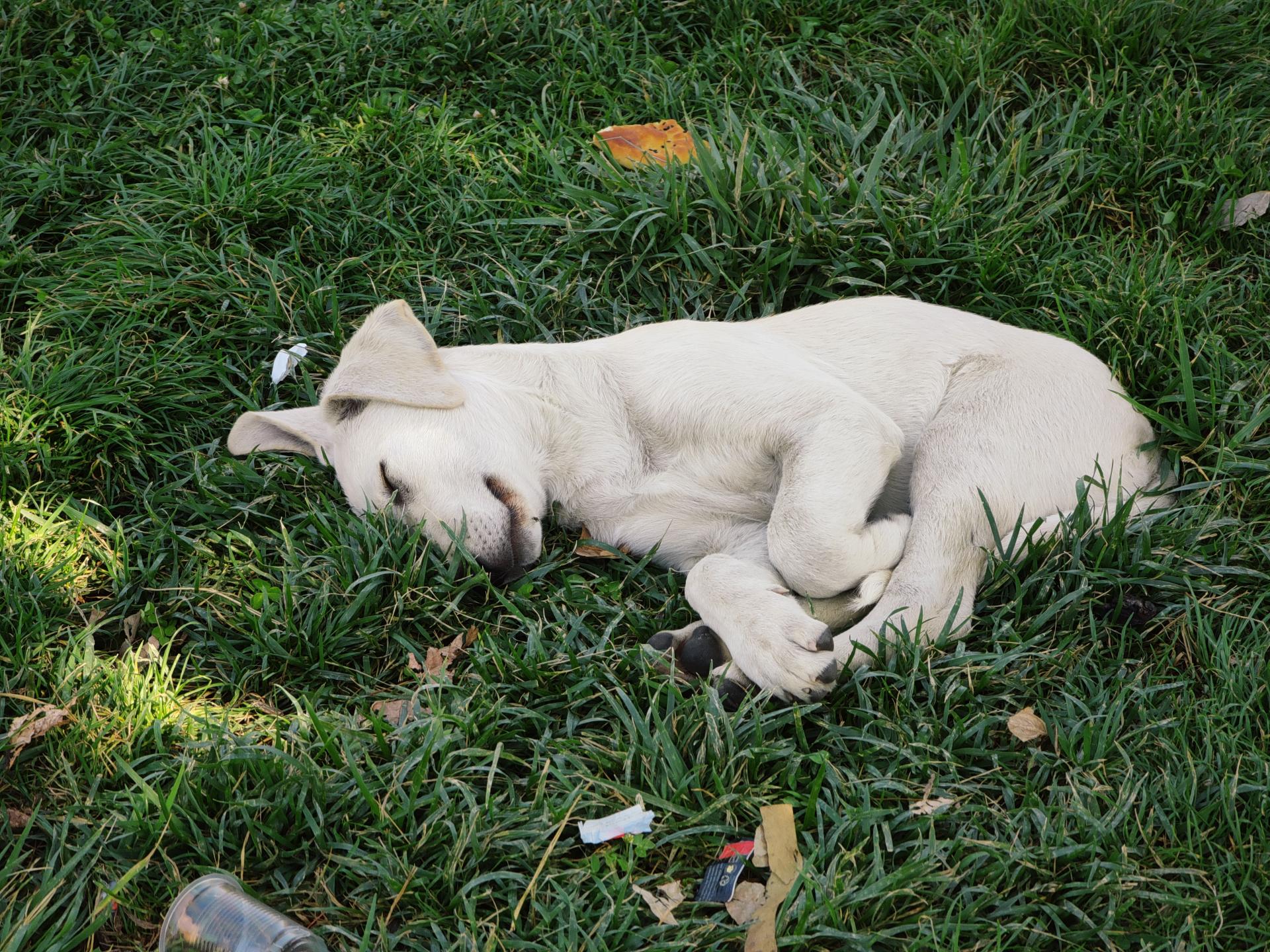 عکس پارک خبرنگار