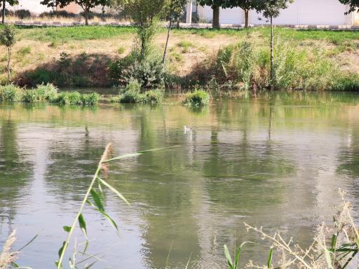 عکس پارک خبرنگار