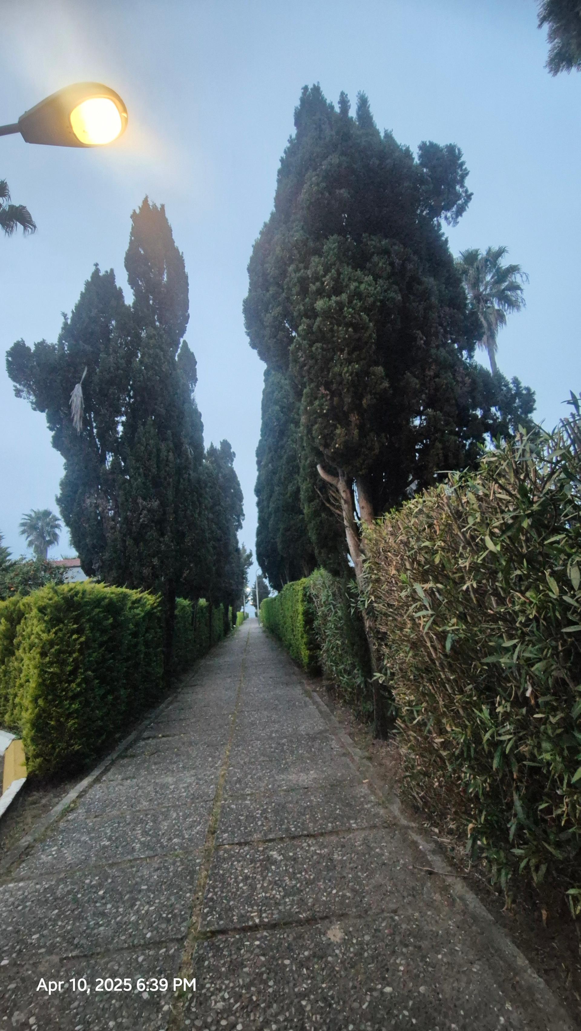 عکس شهرک آکام شهر