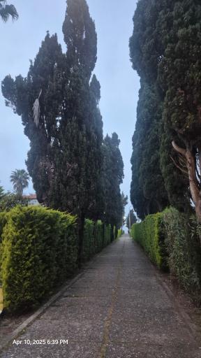 عکس شهرک آکام شهر