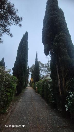 عکس شهرک آکام شهر