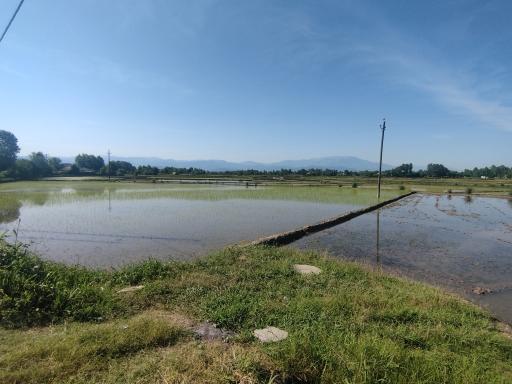 عکس سده