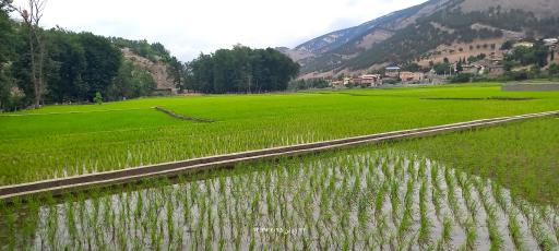 عکس مرزن آباد