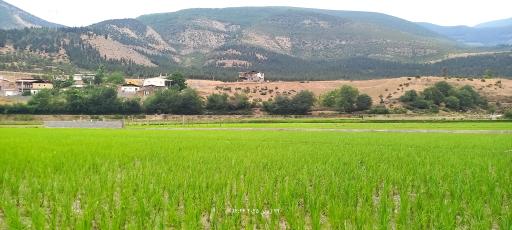 عکس مرزن آباد