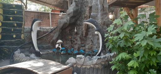 عکس رستوران حاج محمود