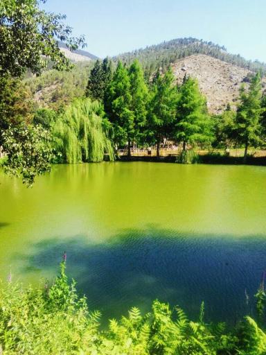 عکس مرزن آباد