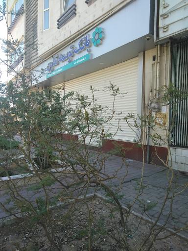 عکس بانک توسعه تعاون شعبه ولیعصر سمنان