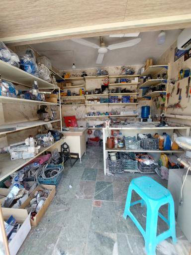 عکس مشعل چراغی 