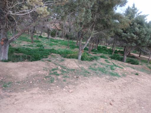 عکس پارک آبشار (شلاله)