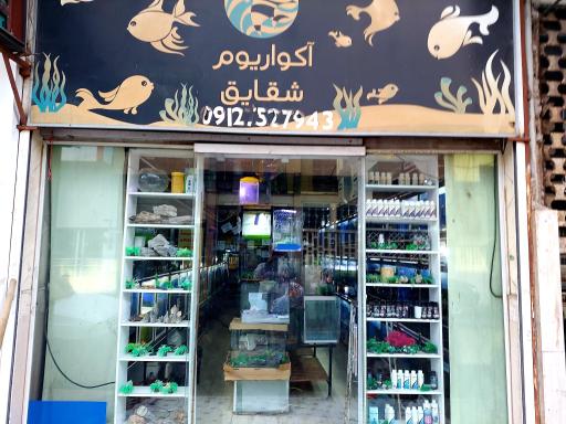 عکس آکواریوم شقایق 