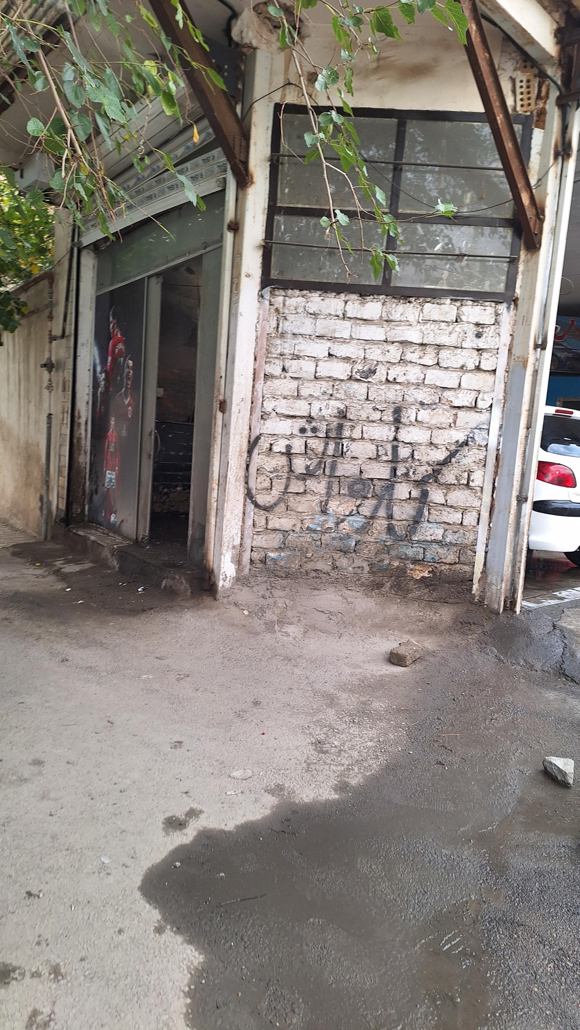 عکس کارواش شیردل