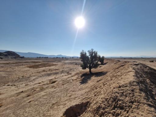 عکس شهر باستانی دارابگرد