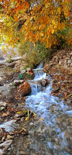 عکس خضری دشت بیاض