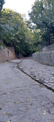 عکس سولقان
