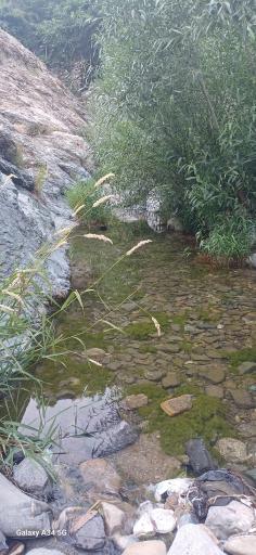 عکس سولقان