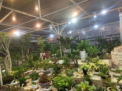 عکس گلخانه و گلفروشی موسوی