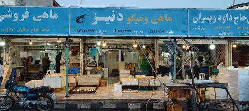 عکس ماهی فروشی دنیز