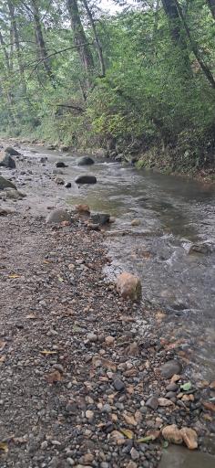 عکس رودخانه سد لفور