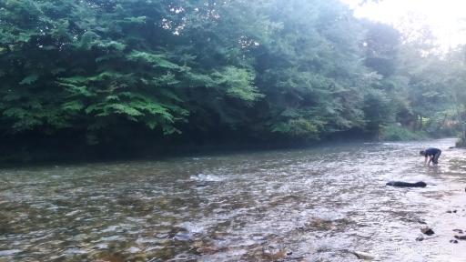 عکس رودخانه سد لفور