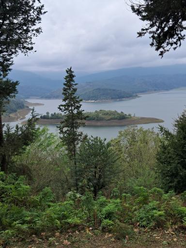 عکس رودخانه سد لفور