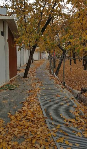 عکس اردوگاه آموزشی تربیتی مفتاح حوزه علمیه