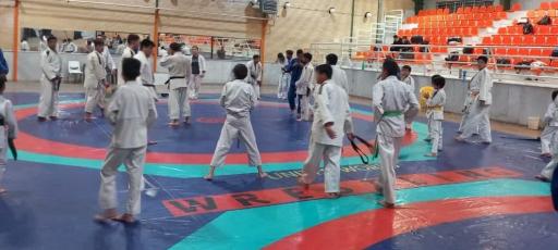 عکس خانه کشتی استاد حمید توکل