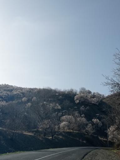 عکس تفرجگاه زمانخان