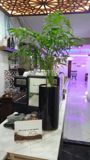 عکس دکتر کافی
