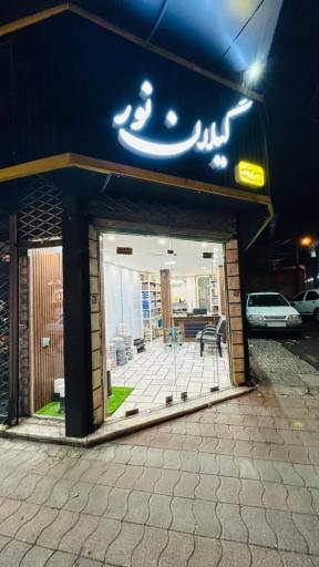 فروشگاه گیلان نور