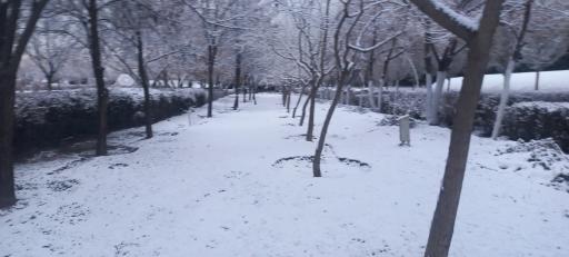 عکس بوستان شهید ناصری 