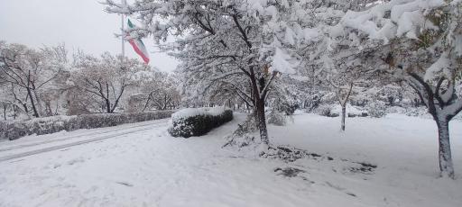 عکس بوستان شهید ناصری 