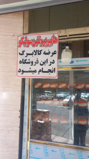 عکس هایپر پروتئین سولیکو