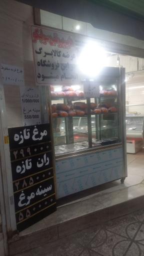 عکس هایپر پروتئین سولیکو