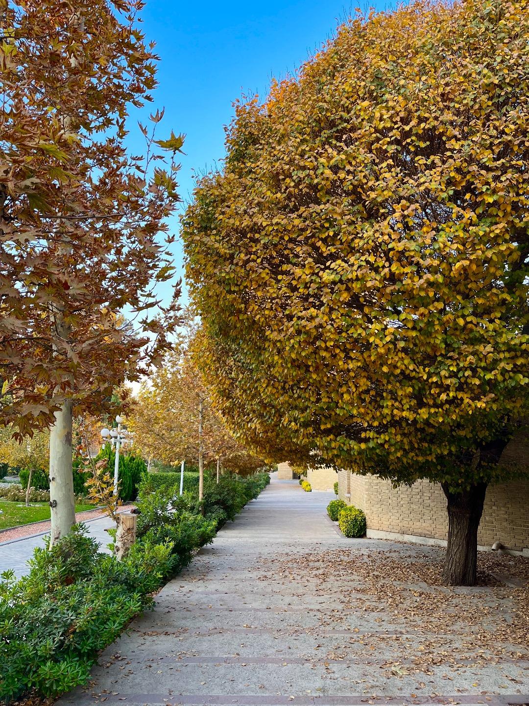 عکس ساختمان شهید سپهبد سردار حاج قاسم سلیمانی (اداره کل دانشجویی و فرهنگی)