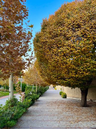 عکس ساختمان شهید سپهبد سردار حاج قاسم سلیمانی (اداره کل دانشجویی و فرهنگی)